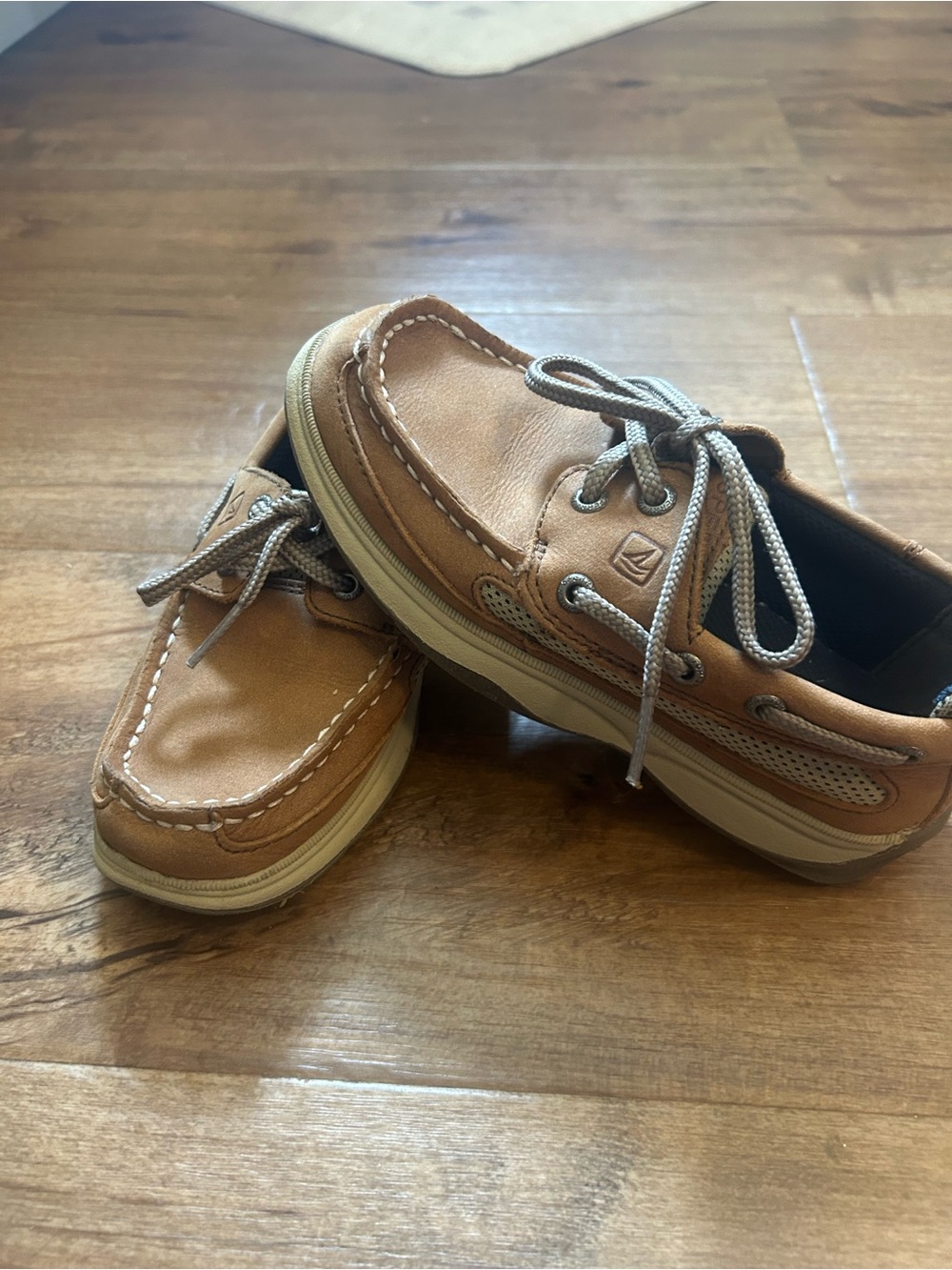 Boys Sperrys